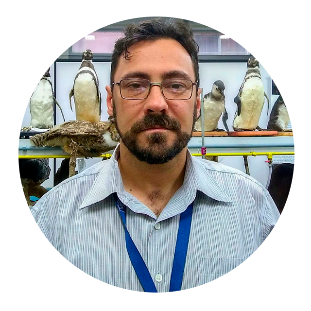 Márcio Dillmann de Carvalho